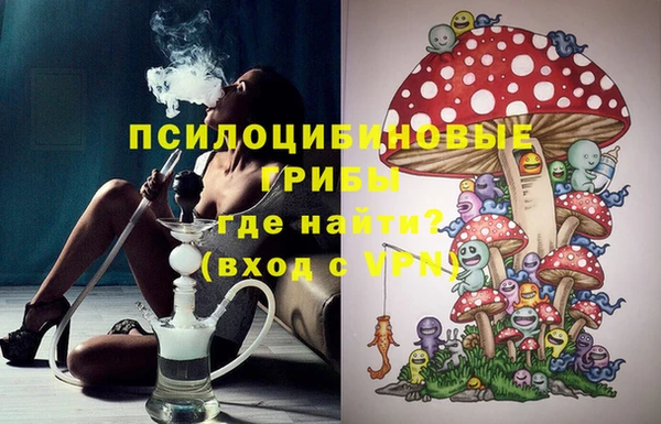 прущая мука Алзамай